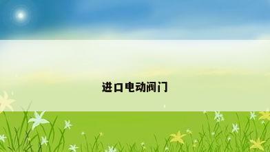 进口电动阀门