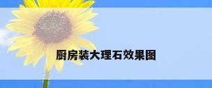 厨房装大理石效果图