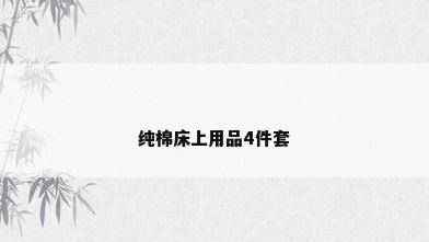纯棉床上用品4件套