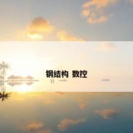 钢结构 数控
