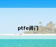 ptfe阀门