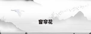 窗帘花