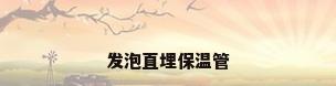 发泡直埋保温管
