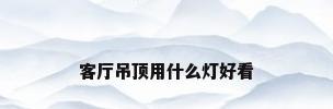 客厅吊顶用什么灯好看