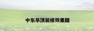 中东吊顶装修效果图