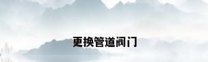 更换管道阀门