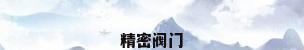 精密阀门