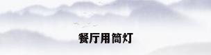 餐厅用筒灯
