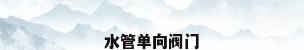 水管单向阀门