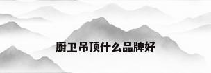 厨卫吊顶什么品牌好