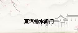 蒸汽排水阀门
