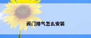 阀门排气怎么安装
