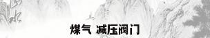 煤气 减压阀门