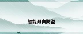 智能双向防盗