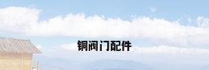 铜阀门配件