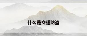 什么是交通防盗