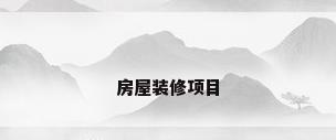 房屋装修项目