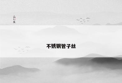 不锈钢管子丝