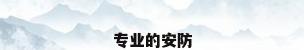 专业的安防