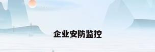 企业安防监控