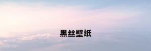 黑丝壁纸