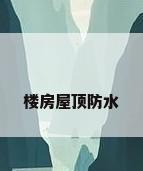 楼房屋顶防水