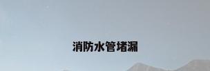 消防水管堵漏