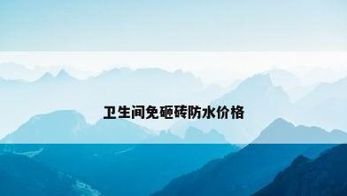 卫生间免砸砖防水价格