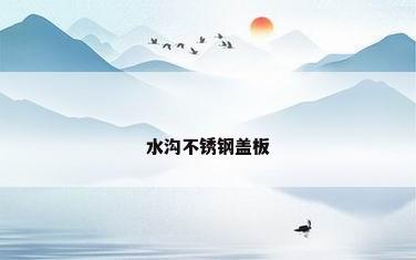 水沟不锈钢盖板