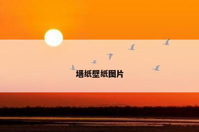 墙纸壁纸图片