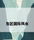 东区国际风水