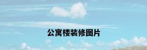 公寓楼装修图片
