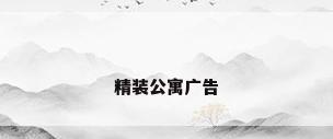 精装公寓广告