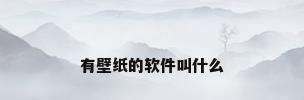 有壁纸的软件叫什么