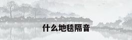 什么地毯隔音