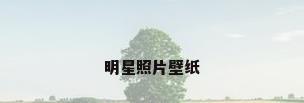 明星照片壁纸