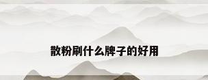 散粉刷什么牌子的好用