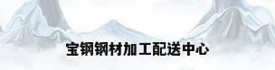 宝钢钢材加工配送中心