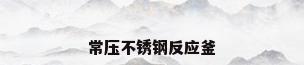 常压不锈钢反应釜