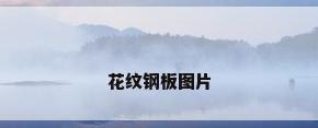 花纹钢板图片
