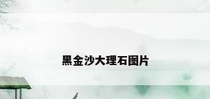 黑金沙大理石图片