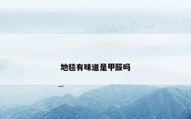 地毯有味道是甲醛吗