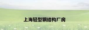 上海轻型钢结构厂房