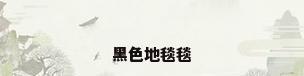 黑色地毯毯