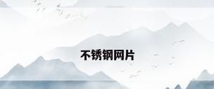 不锈钢网片