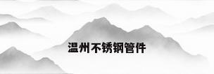 温州不锈钢管件