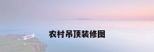 农村吊顶装修图