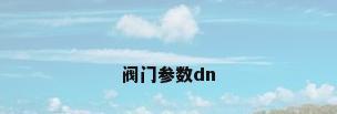 阀门参数dn