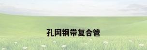 孔网钢带复合管