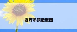 客厅吊顶造型图